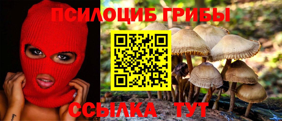 Псилоцибиновые грибы мухоморы  Вход с VPN  Туймазы 